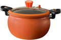 Non-stick Pressure Cooker for Home Cooking, 6-Quart Stainless Steel Stew Pot with Lid, Fast Cooking Soup and Stew Cooker, Multi-functional Easy Clean Kitchen Pot(Orange)