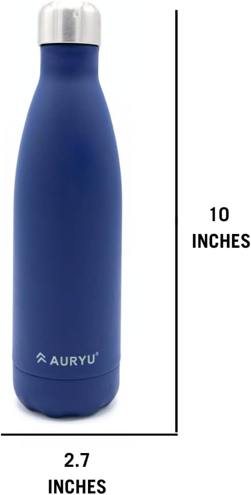 Best in Class Triple-Walled Insulated Stainless Steel Water Bottle with bonus handle included, Drinks Cold for 24h & Hot for 12h, Leak Proof, Make a Difference in the World, 17oz (Navy Blue)