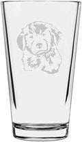 Golden Retriever Puppy Custom Personalized Dog Themed Etched All Purpose 16oz Pint Glass