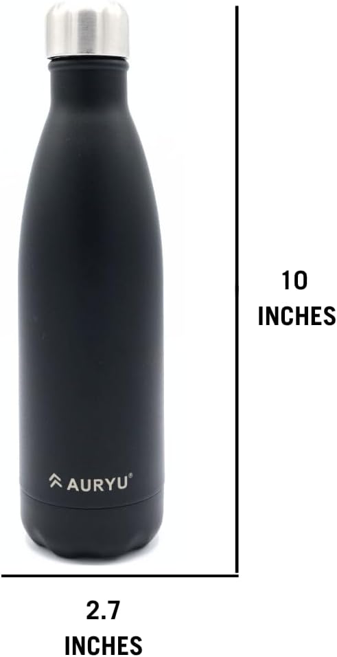 Best in Class Triple-Walled Insulated Stainless Steel Water Bottle, Keeps your Drinks Cold for up to 24 Hours and Hot for up to 12 Hours, Leak Proof, Make a Difference in the World, Black, 17oz