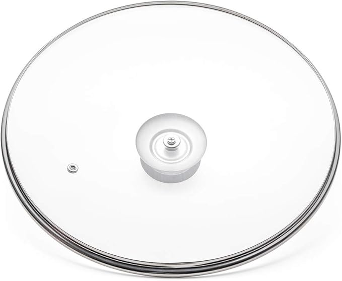 Glass Lid for Frying Pan, Fry Pan, Skillet, Pan Lid with Handle Coated in Silicone Ring,9.5"/24cm, Clear