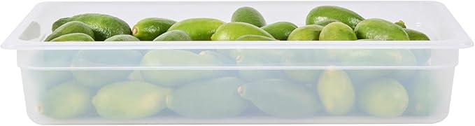 Restaurantware Food Pans Pack of 10 Plastic Rectangle Food Containers Full Size with Traceability Label, Storage Containers Dishwashable Hot Cold Friendly for Restaurants Buffet Commercial Use