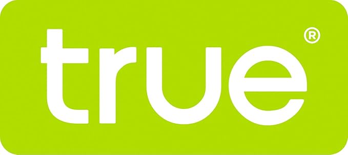 True Vista Stainless Steel Cocktail Shaker with Measurements for Cold Brew Cocktails, Whiskey Sour, Espresso Martini Shaker, Home Bar Essentials, Bar Cart Accessories, Bartender Gifts, 14oz, Set of 1