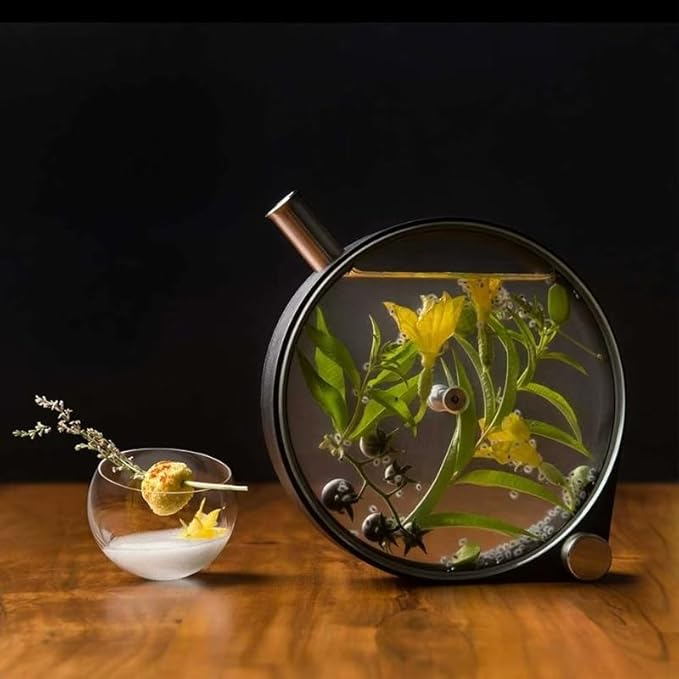 DIY Small 13 oz Cocktail Porthole Infuser, Drink Liquor Infuser, Create Your Own Infused Masterpiece, Liquor Infusing Decanter, Beautiful, Fun Gift, Bourbon Infuser, Infusion Bottles 5-Years Warranty