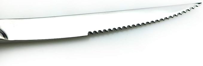 JASHII 18/10 Stainless Steel 8 Piece Mirror Polished Silver Steak Knife Silverware Utensil Set