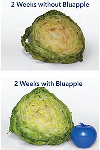 Bluapple Produce Saver Ethylene Gas Absorber & VeggieZips Ultimate Value Pack Produce Storage Preservation Kit - Keeps Fruit & Vegetables Fresher Longer, Regulates Humidity, & Reduce Waste