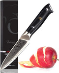Oxford CHEF Paring Knife- 3.5 Inch - Damascus Japanese- VG10 Super Steel 67 Layer High Carbon Stainless Steel- Razor Sharp, Stain & Corrosion Resistant, Awesome Edge Retention