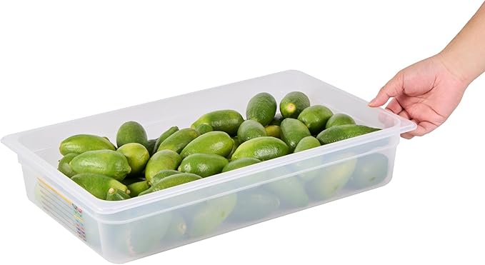 Restaurantware Food Pans Pack of 10 Plastic Rectangle Food Containers Full Size with Traceability Label, Storage Containers Dishwashable Hot Cold Friendly for Restaurants Buffet Commercial Use