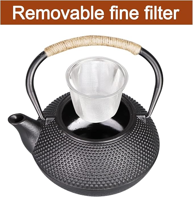 PARACITY Cast Iron Teapot Japanese Tetsubin Coated with Stainless Steel Infuser, Stovetop Tea Kettle for Boiling Hot Water Tea, Mothers Day Gifts from Daughter/Son 30.5 OZ /900 Ml