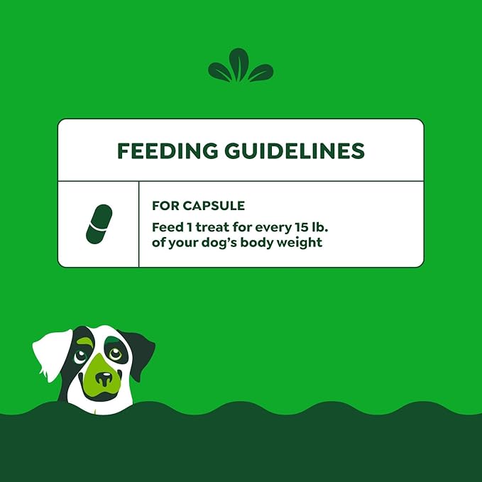 Greenies Pill Pockets for Dogs Large Size, Soft Dog Treats, Chicken Flavor, (6) 7.9 oz. Pouches (180 Treats Total)