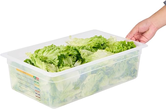 Restaurantware Food Pans Pack of 10 Plastic Rectangle Food Containers Full Size with Traceability Label, Storage Containers Dishwashable Hot Cold Friendly for Restaurants Buffet Commercial Use
