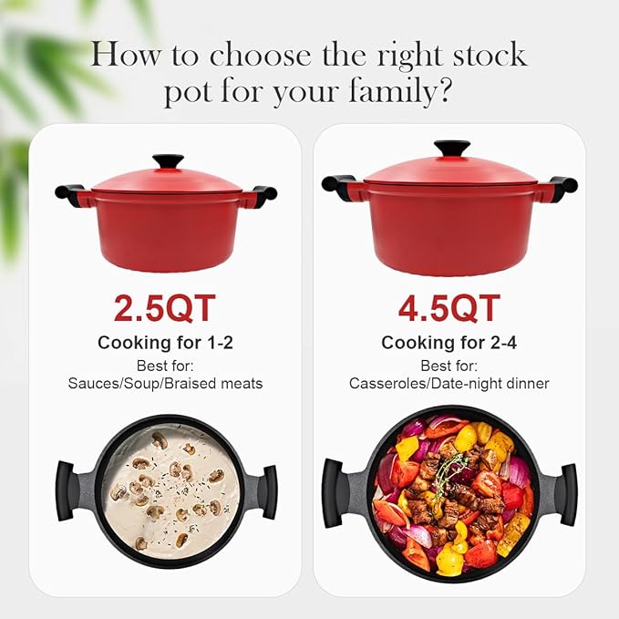 2.5 Qt Cast Aluminum Dutch Oven Pot for Stew Braise Soup Simmer and Fry, Mini Nonstick Stock Pot with Lid & Stay-Cool Handle for All Stoves Including Induction, PFOA PFOS APEO Free
