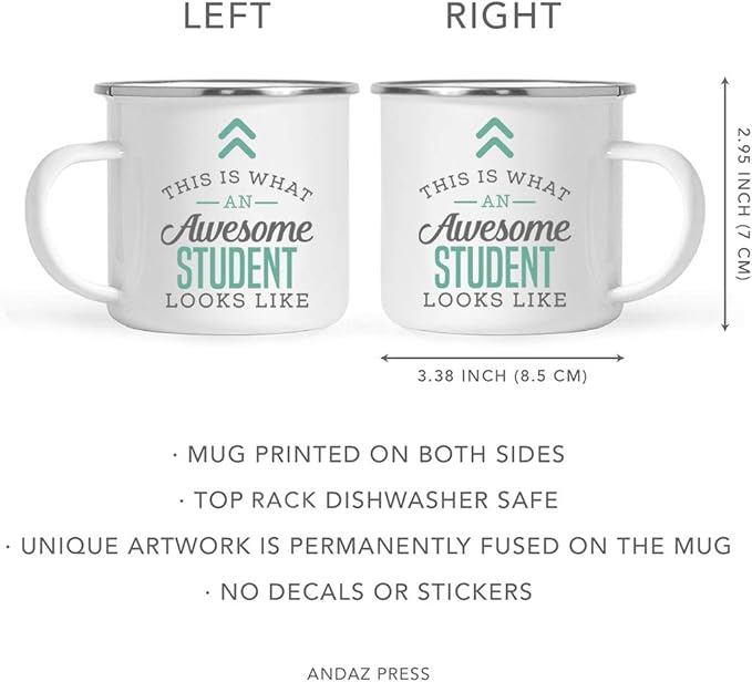 Andaz Press 11oz. Stainless Steel Campfire Coffee Mug, This Is What an Awesome Student Looks Like, 1-Pack, Birthday Gift Ideas for Coworker, Includes Gift Box