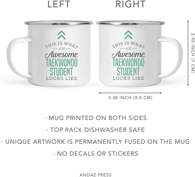 Andaz Press 11oz. Stainless Steel Campfire Coffee Mug Gift, This is What an Awesome Taekwondo Student Looks Like, 1-Pack, Birthday Gift Ideas Coworker Him Her, Includes Gift Box