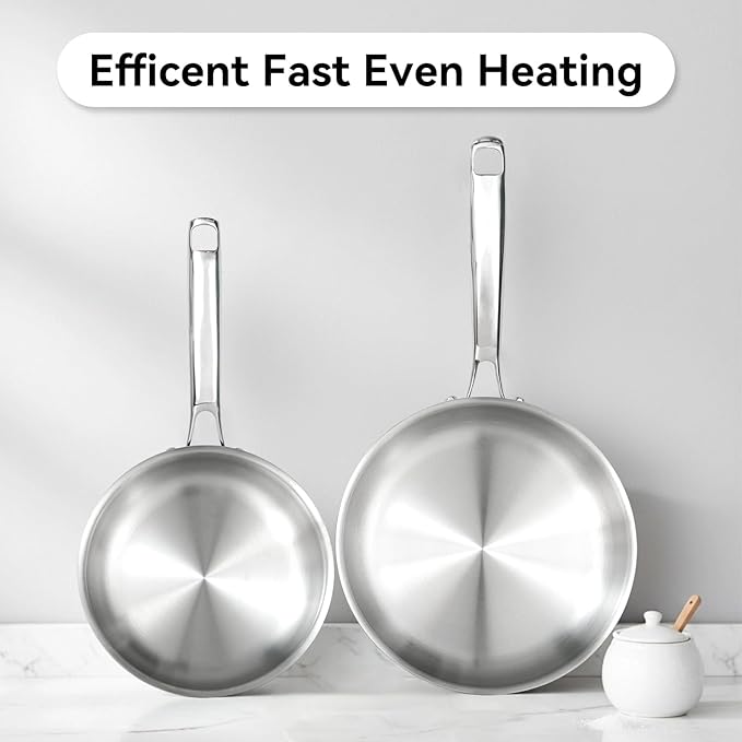 Professional Grade 316L Stainless Steel Frying Pan | 9.5 Inch Skillet with Glass Lid | Healthy PFOA/PFOA-Free & Dishwasher Safe | Induction & Gas Stove Compatible, Oven Safe to 500°F