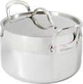 Bloomhouse - Two Time Oprah's Favorite Things Winner - 8 Quart Tri-Ply Stainless Steel Stock Pot with Lid – Dutch Oven, Oven Safe, Dishwasher Safe