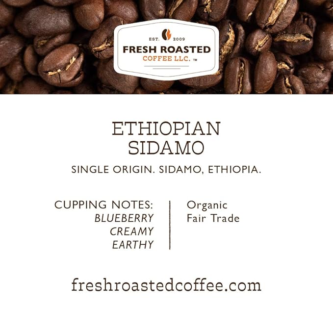 Fresh Roasted Coffee, Organic Ethiopian Sidamo |USDA Organic, 100% Single Origin, Kosher | Light Roast 72 Pods for K Cup Brewers