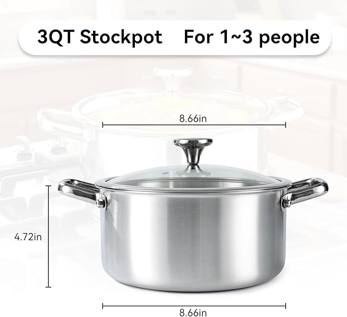 Professional Grade 316L Stainless Steel Frying Pan | 9.5 Inch Skillet with Glass Lid | Healthy PFOA/PFOA-Free & Dishwasher Safe | Induction & Gas Stove Compatible, Oven Safe to 500°F