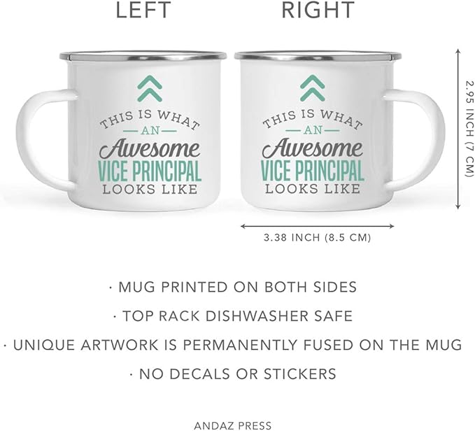 Andaz Press 11oz. Stainless Steel Campfire Coffee Mug Gift, This is What an Awesome Vice Principal Looks Like, 1-Pack, Birthday Gift Ideas Coworker Him Her, Includes Gift Box