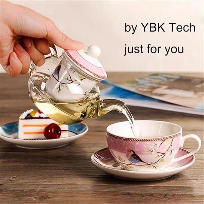 Tea for One Set, Glass Teapot with Porcelain Infuser Strainer and Cup & Saucer- Happy Bird Pattern (Pink)