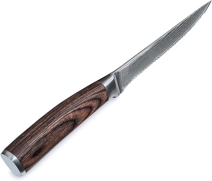 Wakoli EDIB 4-Piece Damascus Steak Knife Set – Professional Dining Kitchen Knives with VG10 Core Blades, 67-Layer Damascus Steel & Ergonomic Pakkawood Handles – Premium Steak Cutlery in Gift Box