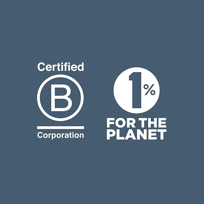 U Konserve Platinum Silicone Food Storage Bento Box Dual Seal Rectangle Container - Leak Proof, Shatter Proof, Dishwasher Safe, Plastic Free - 48oz (Seafoam)