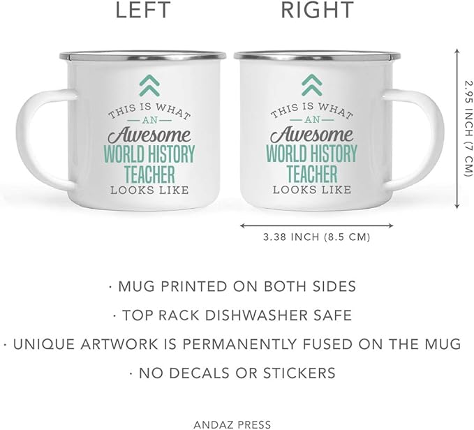 Andaz Press 11oz. Stainless Steel Campfire Coffee Mug Gift, This is What an Awesome World History Teacher Looks Like, 1-Pack, Birthday Gift Ideas Coworker Him Her, Includes Gift Box