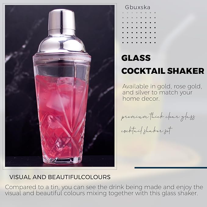 Cocktail Shaker, 14.5 Oz Glass Martini Shaker with Strainer for Bars, Whiskey, Cocktails, Silver