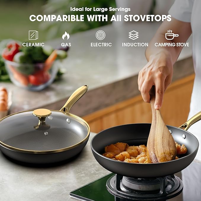 imarku Non Stick Frying Pans, Frying Pan with Lid 2Pcs - 10 Inch and 12 Inch Long Lasting Nonstick Frying Pan Cast Iron Skillets, Frying Pans Nonstick with Lid, Chrismas Gifts for Women and Men