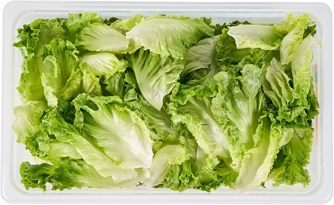 Restaurantware Food Pans Pack of 10 Plastic Rectangle Food Containers Full Size with Traceability Label, Storage Containers Dishwashable Hot Cold Friendly for Restaurants Buffet Commercial Use