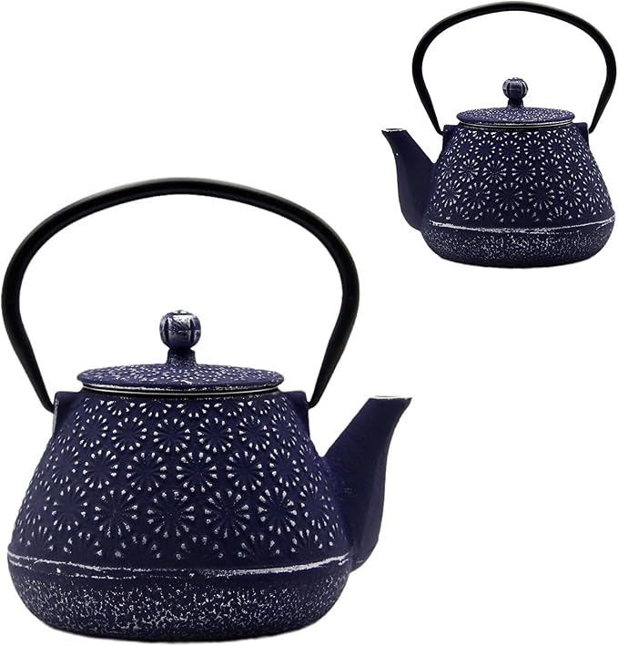 20.3oz Small Cast Iron Teapot, SECHUDO Cast Iron Tea Kettle for Stovetop Safe Coated with Enameled Interior, Cast Iron Tea Pot with Stainless Steel Infuser for Loose Tea (Blue Gerbera Pattern)