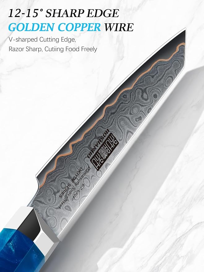 HOSHANHO Damascus Paring Knife 4 Inch, 67-Layer Damascus Steel Professional Small Kitchen Knives, Ultra Sharp Fruit Knife with Ergonomic Blue Resin Stabilized Wood Handle and Wood Gift Box