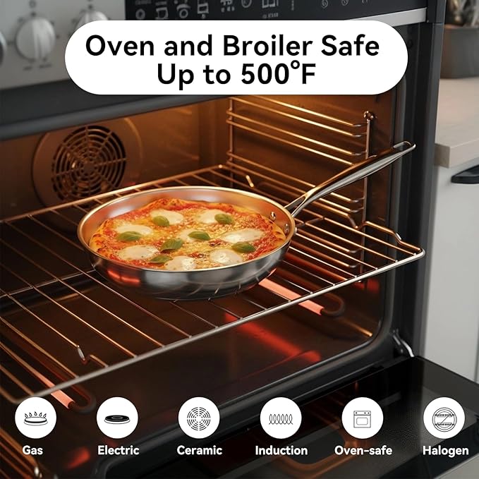 Professional Grade 316L Stainless Steel Frying Pan | 9.5 Inch Skillet with Glass Lid | Healthy PFOA/PFOA-Free & Dishwasher Safe | Induction & Gas Stove Compatible, Oven Safe to 500°F