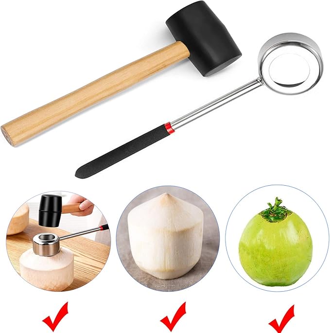 Stainless Steel Coconut Opener Set of 3, Tool Kit for Opening Fresh Coconuts