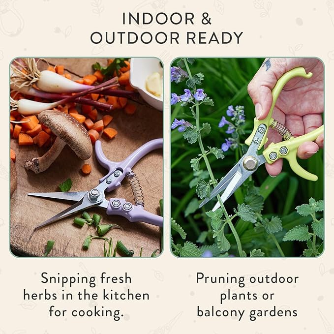 Modern Sprout Pruning Shears, Herb Snipping Scissors, Lightweight Gardening Tools W/Easy Lock, Flower Cutter Garden Shears, Carbon Steel Blade + Reusable Holster (Green, 1-Pack)