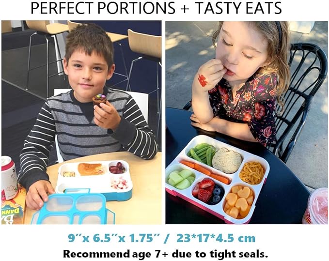 kinsho Bento Lunch Boxes with Bag and Ice Packs | Bento-Box Insulated Bag Ice Cold Pack Set of Two for Kids Adults | Value Container Set for School Kid Lunches, 6 Compartments BPA Free, Blue & Pink