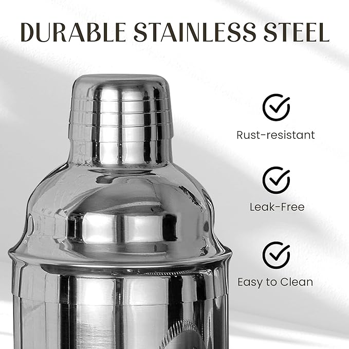 Mixology & Craft Bartender Kit – 15-Piece Cocktail Shaker Set with Bar Tools, Premium Stainless Steel Bar Accessories for Home Bar, Includes Bamboo Stand, Plus Exclusive Recipe Cards (Silver)