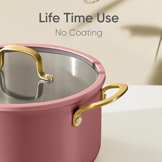 CAROTE 8QT Fully-Clad 3-Ply Stainless Steel Stockpot with Lid Small Kitchen Pot,Outer Ceramic Layer,Even Heating, Fits all stoves,Oven & Dishwasher Safe,Stay Cool Handle,Pink (PFAS/PFOA/PFOS Free)