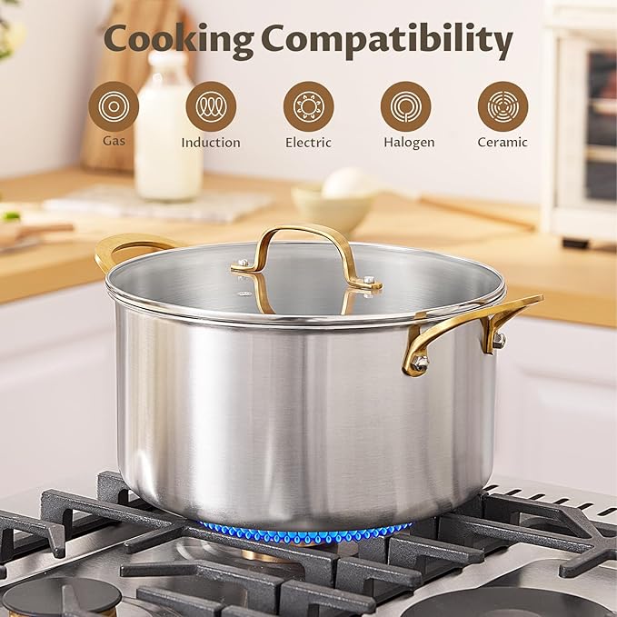 BEZIA 12 QT 3-Ply Stainless Steel Stock Pot with Lid, Large Soup Pot, Exceptional Heat Distribution, Induction Stockpot for All Stoves, Cooking Pot for Pasta, Soup, Spaghetti, Silver