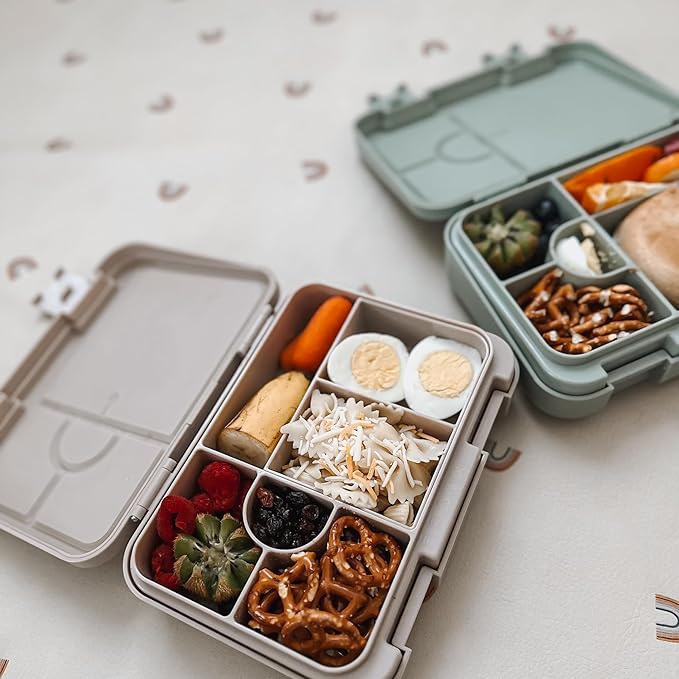 nouka Design Bento Lunch Box | Easy to Open Latches | Spill Proof Design | 6-Compartment Removable Tray | Garden