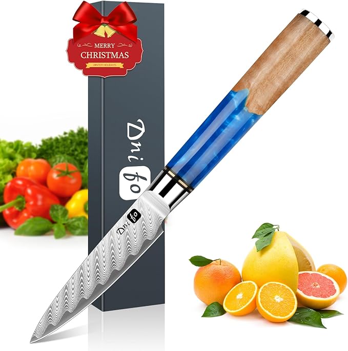 Classic Paring Knife 3.5 Inch, Japanese VG10 Steel Damascus Fruit Knife, Sharp Small Kitchen Knife with Gift Box and Resin Wood Handle,Ideal Birthday Gift for Men and Women