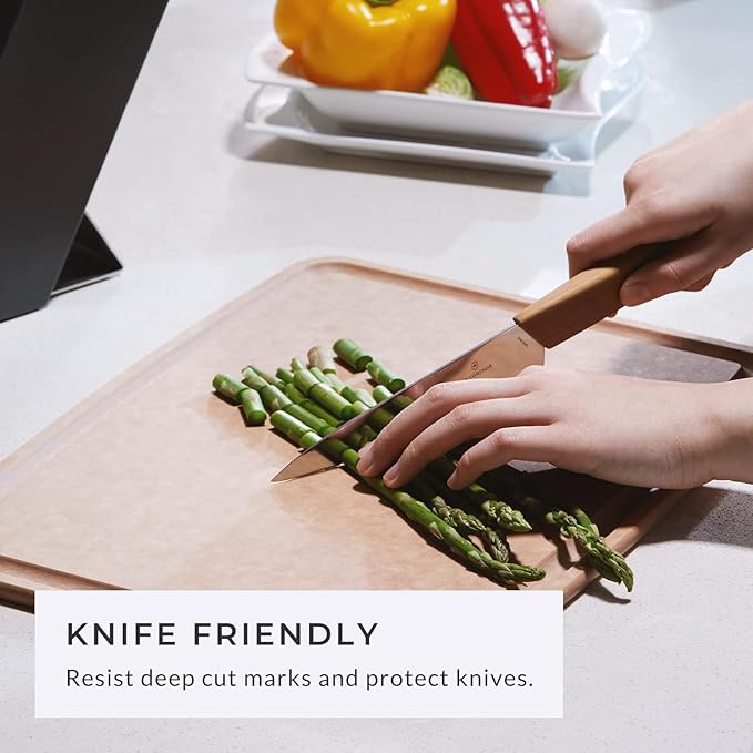 Elihome Large Dishwasher Safe Cutting Board Set with 5-piece Premium Stainless Colorful handle Steel Knife Set