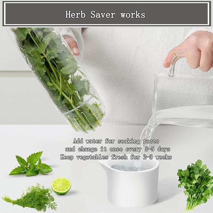 Herb Saver for Refrigerator, Fresh Herbs Lettuce Keeper for Refrigerator, Cilantro Container for Fridge Fres Parsley Mint Leaves Fresh Herb Keeper, Refrigerato Storage for Fresh for 2-3 Weeks