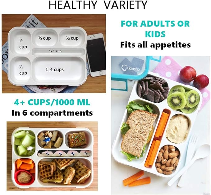 kinsho Bento Lunch Boxes with Bag and Ice Packs | Bento-Box Insulated Bag Ice Cold Pack Set of Two for Kids Adults | Value Container Set for School Kid Lunches, 6 Compartments BPA Free, Blue & Pink