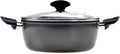 RAVELLI Italia Linea 85 Non Stick Induction Stock Pot, 5 Quart