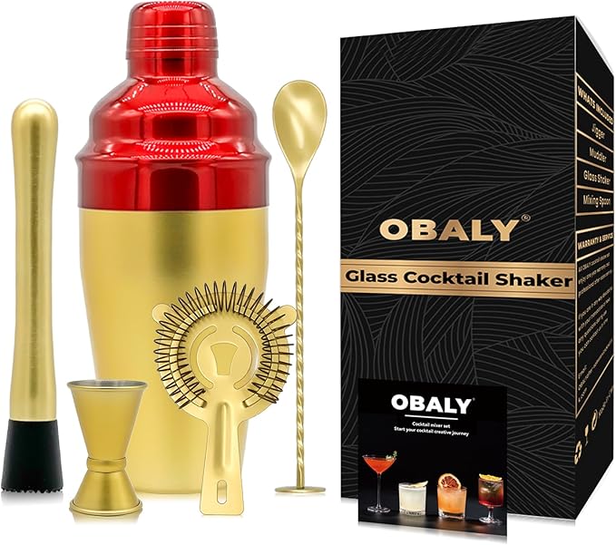 Bartender Kit 5-Piece Cocktail Shaker-Muddler for Cocktails Boston Shaker-Bar Accessories with Stylish Bamboo Stand Mix Drink Shaker kit Perfect Martini kit