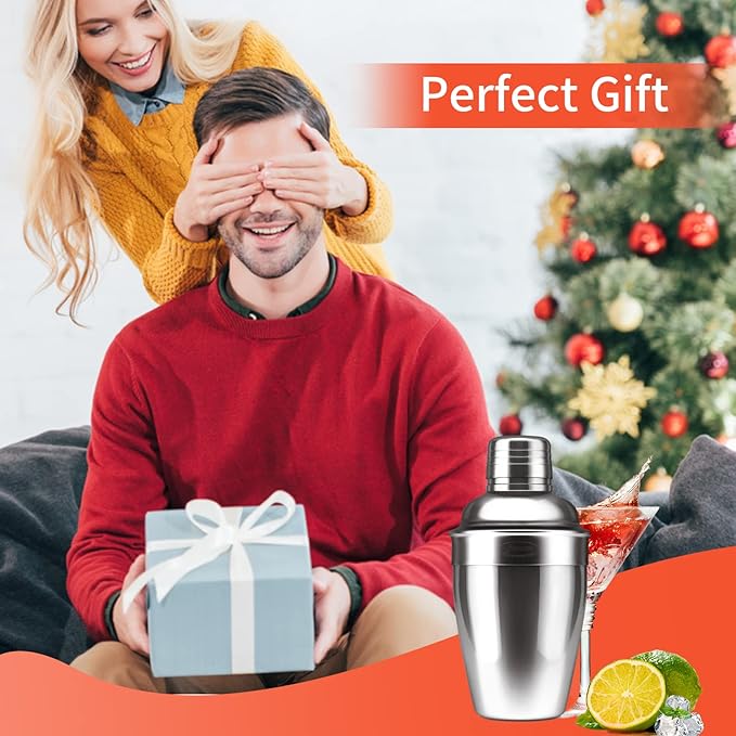Newness Cocktail Shaker, Stainless Steel Martini Shaker, Drink Shaker Built-in Strainer, Professional Stainless Margarita Mixer, Bartender Kit Gifts, Small, Easy to Carry, Single Martini 8.4oz（250ml)