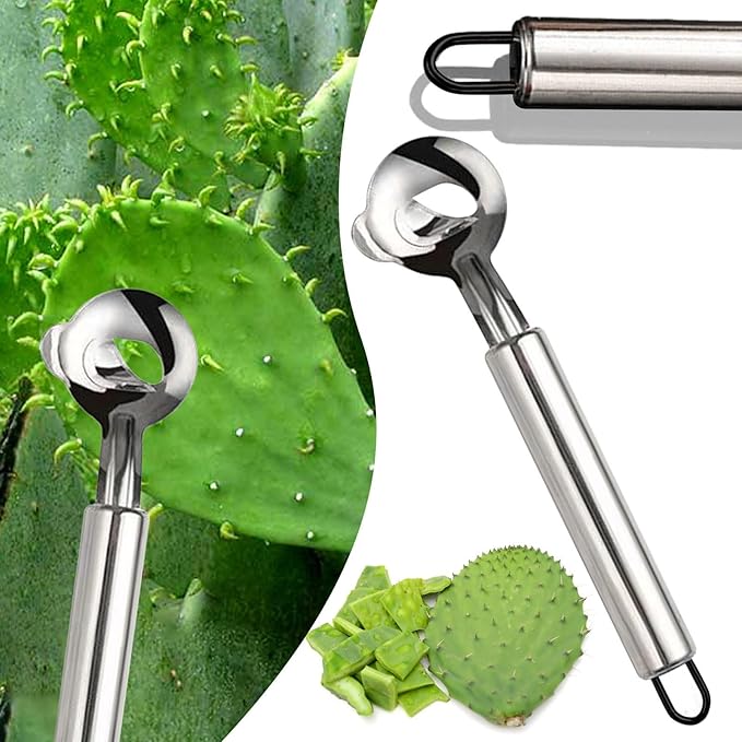 Cactus Peeler Spoon, 3 Pack Stainless Steel Pelador de Nopales, Multifunctional Spoon-Shaped Nopales Peeler, Manual Cactus Thorn Removal Cutter, Portable Kitchen Tools for Cactus Lovers (3PCS)