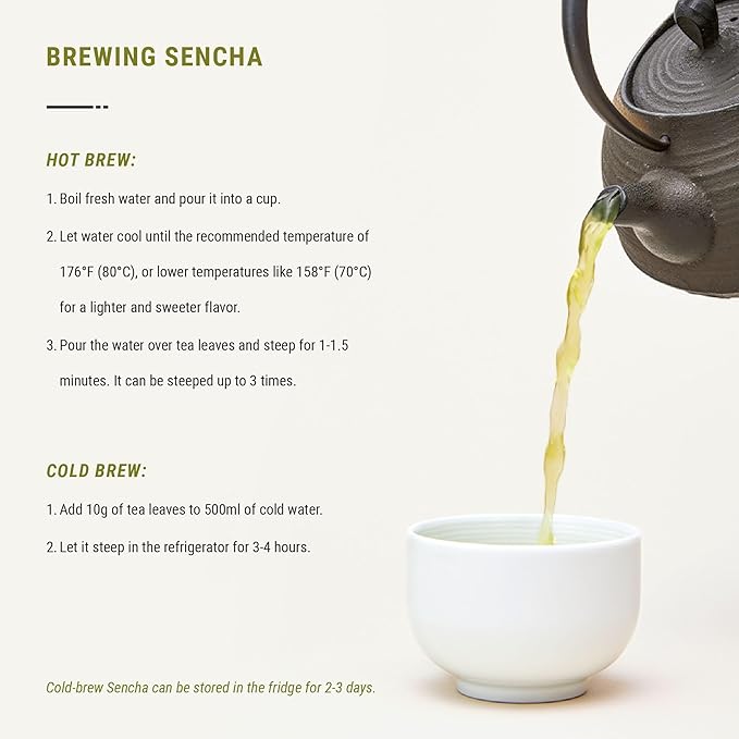 Senbird Premium Sencha - Japanese Green Tea - From Shizuoka, Japan - Loose Leaf Tea In Airtight Tea Tin (3.5oz/100g)