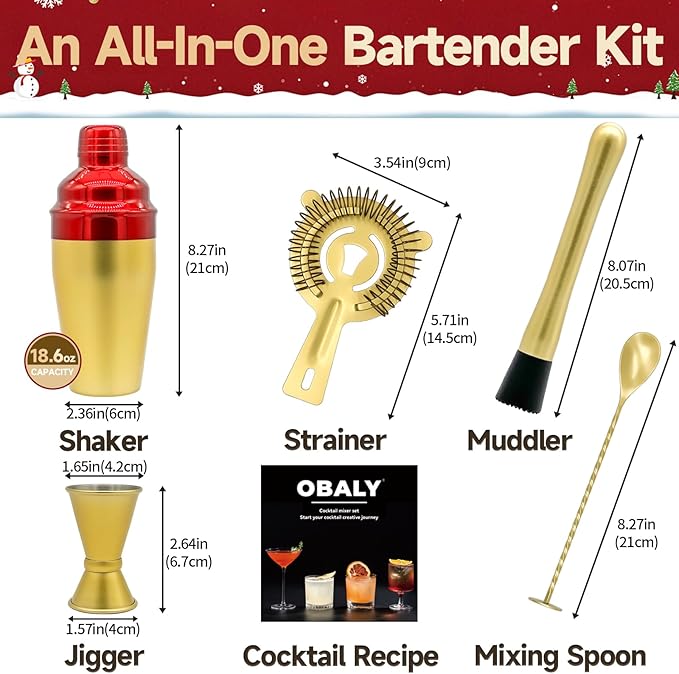 Bartender Kit 5-Piece Cocktail Shaker-Muddler for Cocktails Boston Shaker-Bar Accessories with Stylish Bamboo Stand Mix Drink Shaker kit Perfect Martini kit